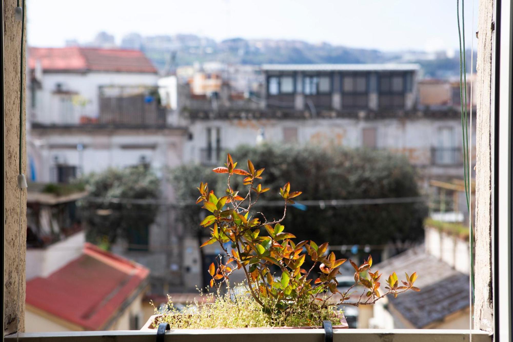 Bnb Etnuvio, Double Rooms In Napels Buitenkant foto